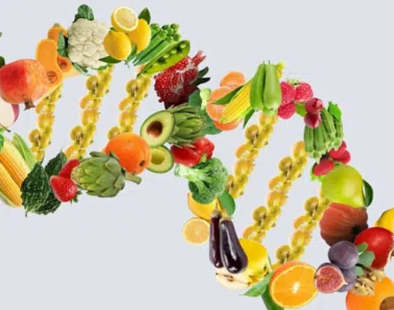 Criação de Sites para Nutricionistas, Nutrição e Consultório de Nutrição